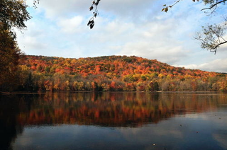 Illustration for article titled Shooting Challenge Fall Leaves Gallery 6